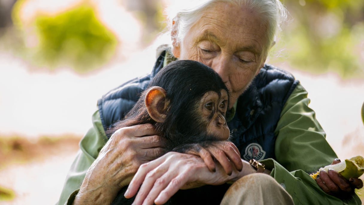 Jane Goodall en 2018