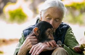 Jane Goodall en 2018