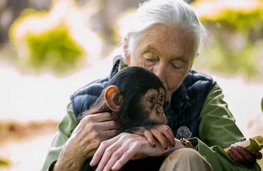 Jane Goodall en 2018