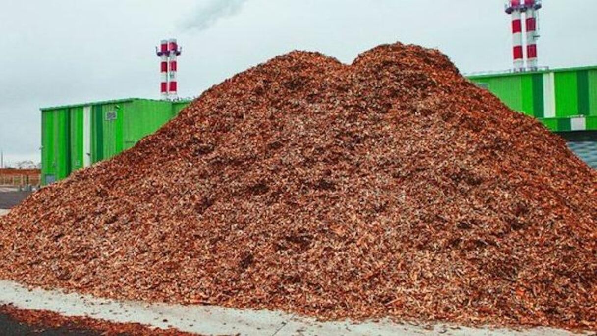 Avec le soutien des Etats-Unis, les rejets de cacao deviennent source d'énergie électrique.
