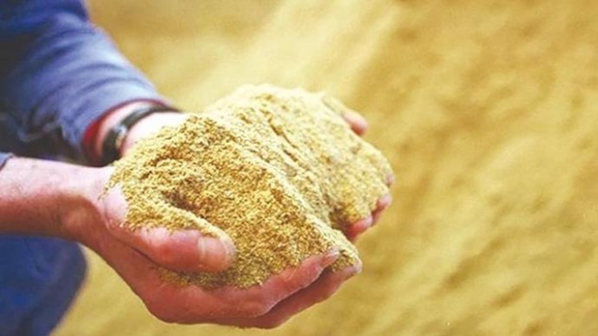 La farine de poisson.