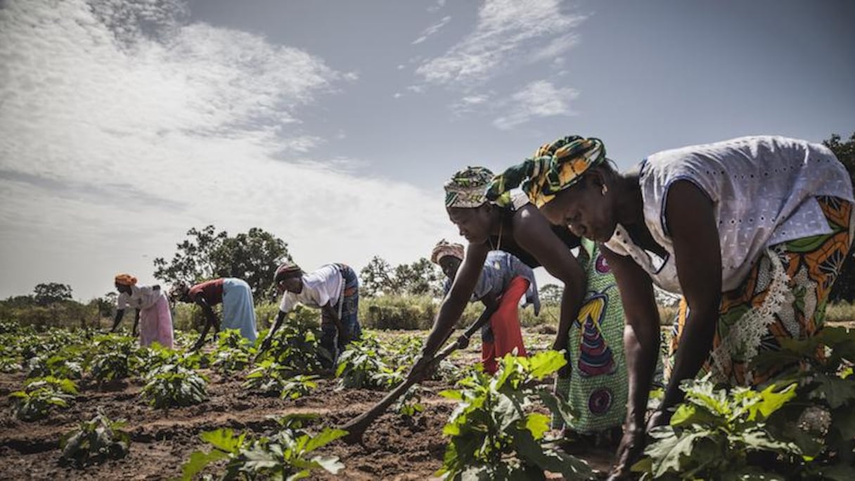 Le ciel s'éclaircit pour des milliers de Casamançais vivant en Guinée-Bissau à cause du conflit.