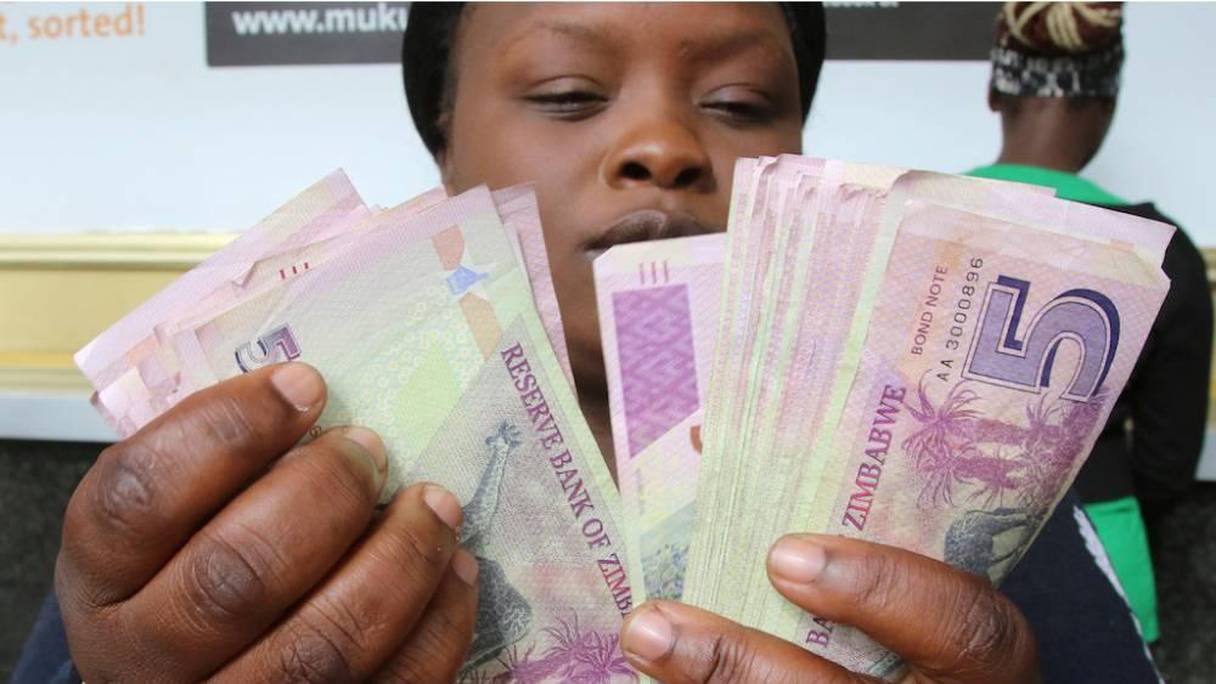 Le dollar zimbabwéen s'est littéralement effondré après le boycott des bailleurs de fonds.